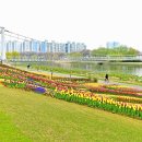 호수정원 이미지