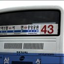 시내버스정류장 이미지