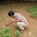 남사농장 이미지