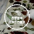 도롱골농원