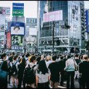 생활영어(기초) 이미지