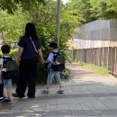 정재초등학교 이미지