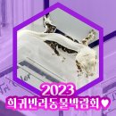 2023 희귀동물박람회 3월 후기 with 이담게코