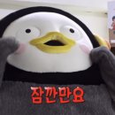 유성과학 네이버블로그