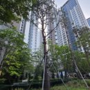 세빛약국 이미지