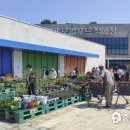 태안군로컬푸드직매장 이미지