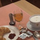 동양세탁빨래방 | [혼자 여행] 샤모니 1일차 스위스 체르마트에서 프랑스 샤모니 이동, Chalet Hôtel le Prieuré &amp; Spa...