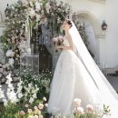 헤어드라마 이미지