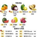 더(The)과일 이미지