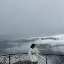 화창카정비 | 호주 시드니 블루마운틴 투어 날씨 및 링컨스락 선셋별빛 후기