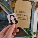 비밀의정원경북대 이미지