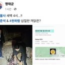 정치 참 드릅게 하는 청년 정치인 이미지