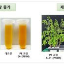 프라임개발