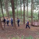 하동편백자연휴양림 이미지