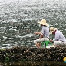 강태공 이미지