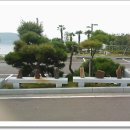 통영농협하나로마트 이미지