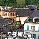 세탁팩토리 네이버블로그