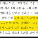 모공화장품