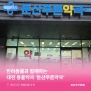 둔산푸른약국 | 대전동물약국 : 대전광역시 서구 둔산동 둔산푸른약국 소개해요!
