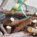 예덕민박 이미지