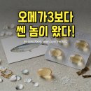 프롬다름 | 헤링오일 효능 부작용 먹는법 프롬바이오 후기
