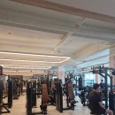 올아웃 피트니스 | 부산 사상 24시 헬스장 올아웃휘트니스 사상점 방문 후기