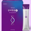이황MSM 네이버블로그