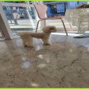 이쁘개몽 이미지