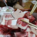산으로간참치 이미지