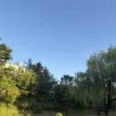 대지로127번길 이미지