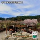 다진솥뚜껑생삼겹살 | 부뚜막솥뚜껑생삼겹살본점 방문 후기
