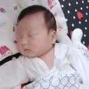 마터피아용인 이미지