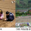 초록펜스농장