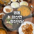 (주)금산주유소 | 영동 어죽 맛집 도리뱅뱅 맛집 청산식당 / 금산 근교 식당