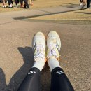 문산읍사무소 내 | [러닝 일기] 2025 평화통일마라톤 하프 코스 후기