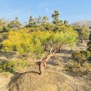 삼산농장 이미지