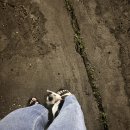 면목약국 | 여름 나라에 살아도 가을은 오나 봐