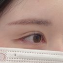 월평타운 | 대전 월평동 속눈썹 맛집 🌟스튜디오 시월 대전점✨