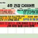 스위치온 다이어트, 스위치온 운동루틴, 기타 다이어트와 차이점
