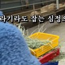 참샘목장 이미지