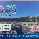 축산항회수산