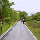 왕송호수공원 Daum카페