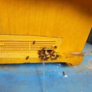 왕벌농장 이미지