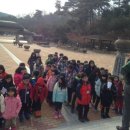 의곡초등학교 이미지