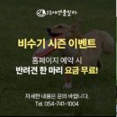 JS당구장 | 경주JS풀빌라 애견풀빌라 내돈내산 후기