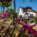 초지로3 이미지