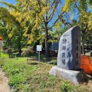 서해안농장 이미지