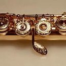 플루트(Flute) Daum카페