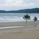 바다엔소나무 이미지