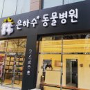 은하수 동물병원 이미지